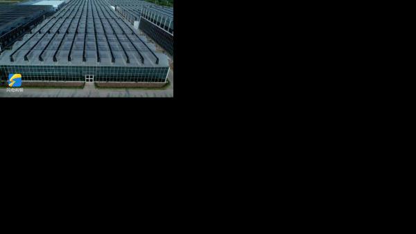 青州市人大代表郭子薇 ：花开&ldquo;锦绣 &rdquo;&ldquo;美丽经济&rdquo;助力千年古城新崛起